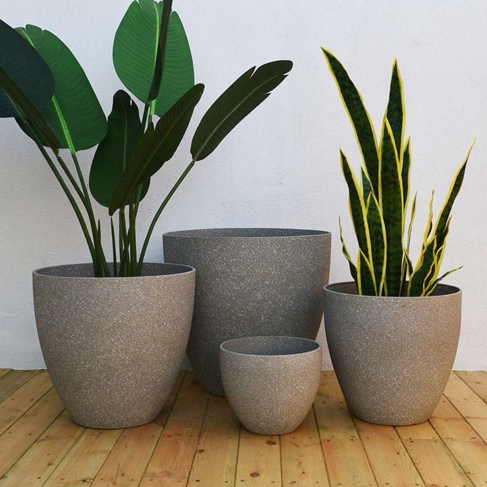 Aloe Vera Pot - Pot de fleurs bonsaï en pierre