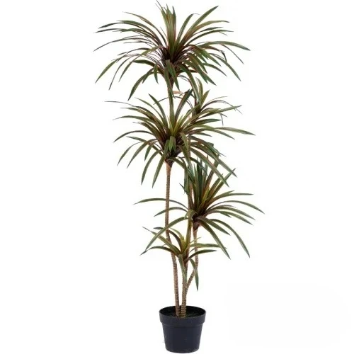 Dracaena Marginata - Plante artificielle colorée en forme de