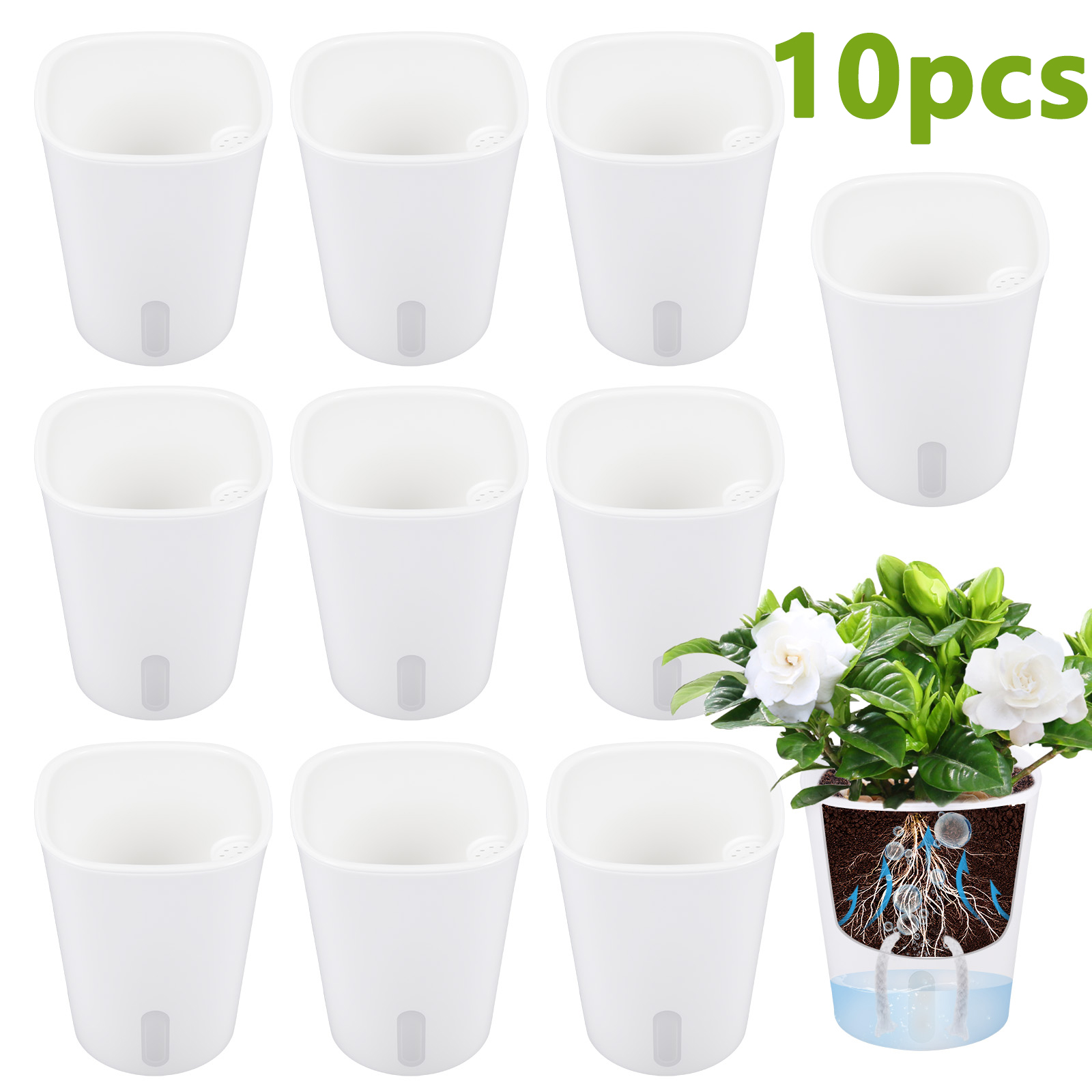 Aloe Vera Pot - 10 pots de fleurs en plastique