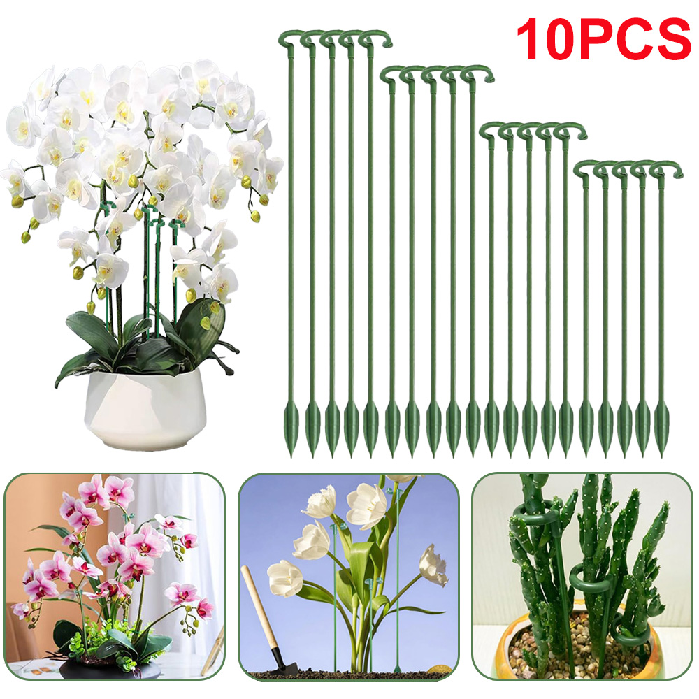 Echeveria Succulent - 5/10 piquets de support pour plantes,