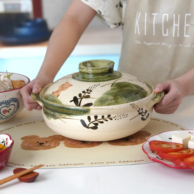 Pot de casserole domestique en - Aloe Vera Pot avis et prix