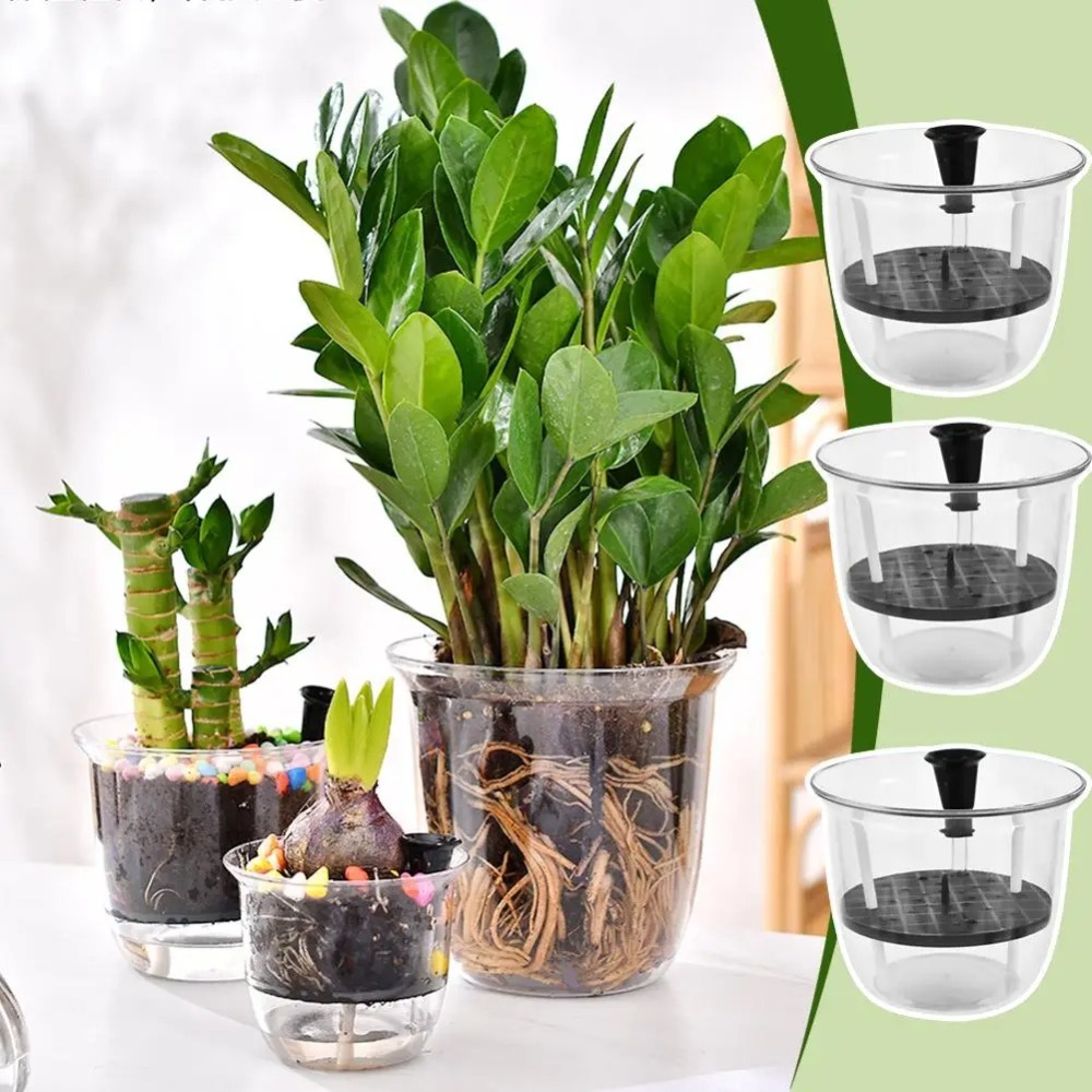 Lot de 2 pots auto-arrosants,  - Aloe Vera Pot avis et prix