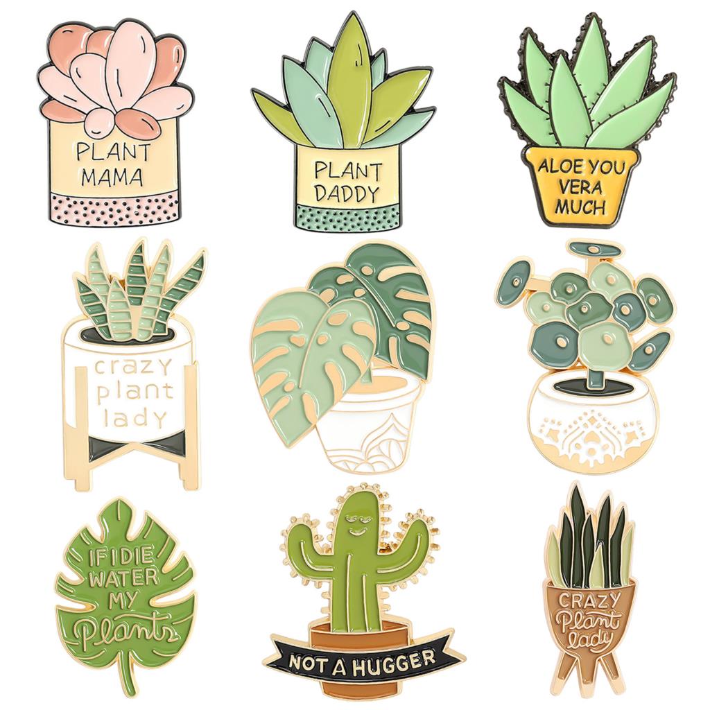 Broche plante en pot Monstera  - Aloe Vera Pot avis et prix