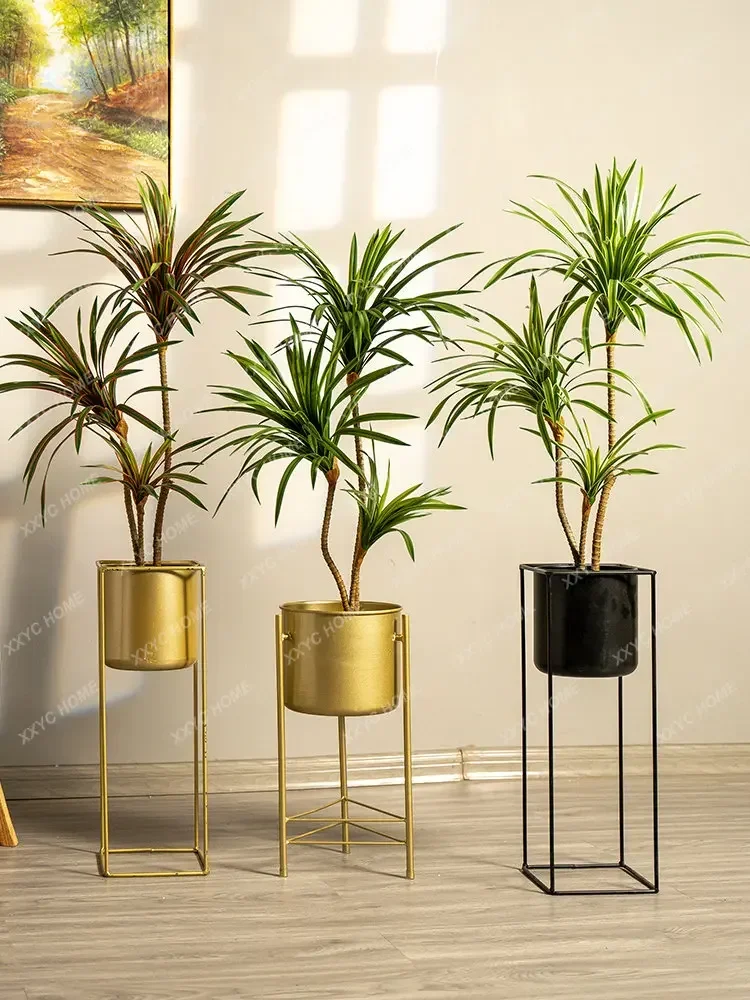 Plante artificielle colorée en - Dracaena Marginata avis et prix