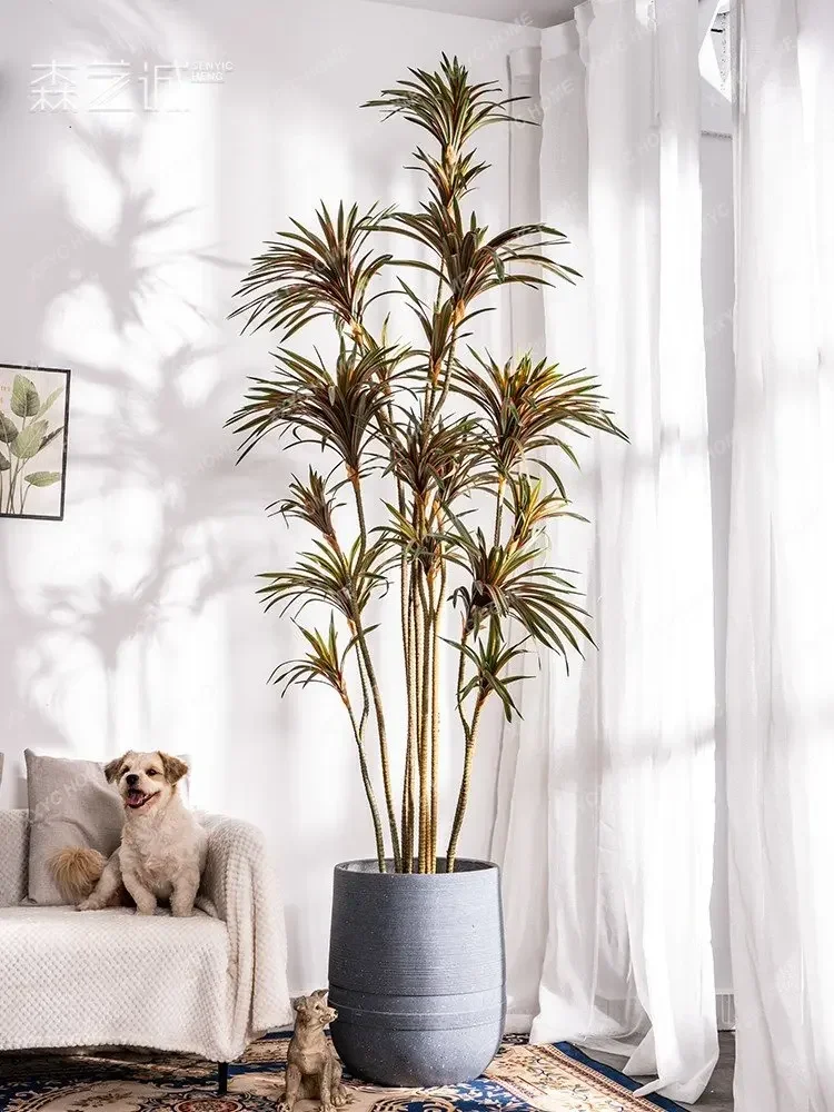 Plante artificielle Dracaena D - Dracaena Marginata avis et prix