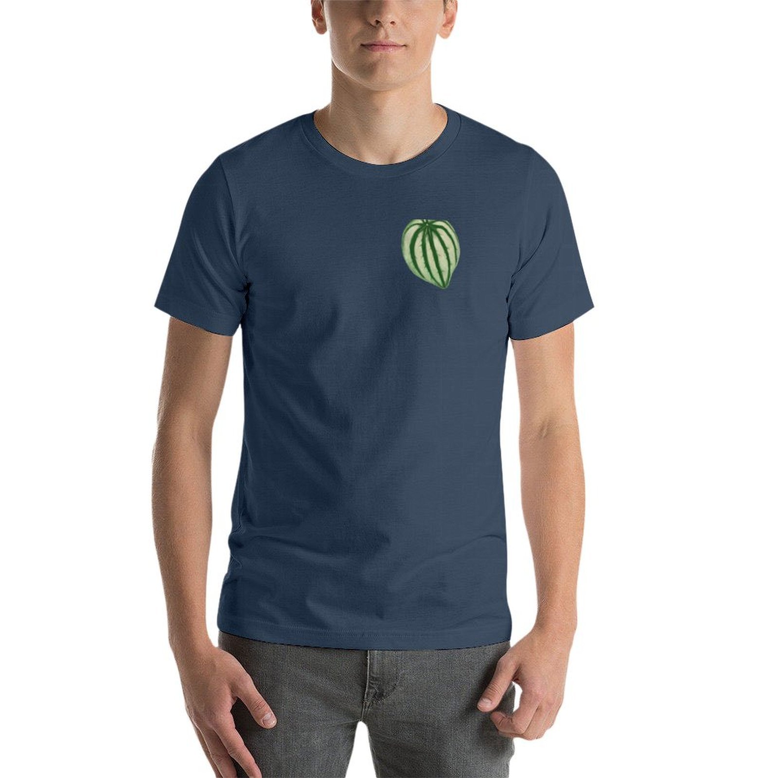 T-shirt Peperomia Watermelon a - Peperomia Watermelon avis et prix