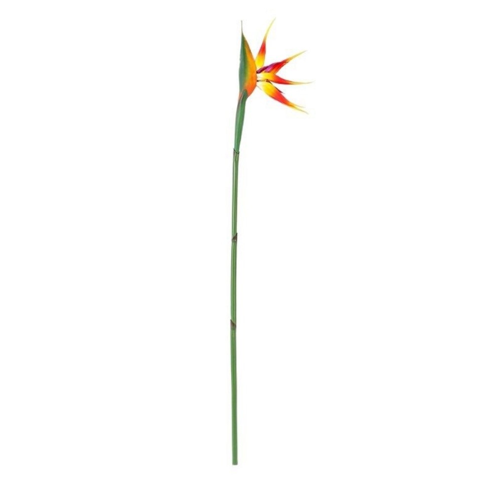 Fleurs artificielles Strelitzi - Bird Paradise Strelitzia avis et prix