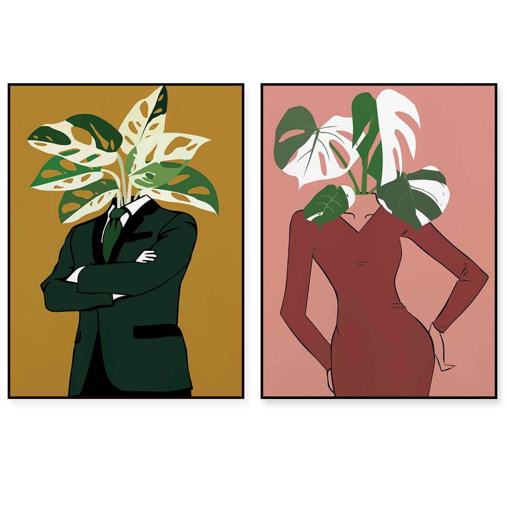 Monstera Albo dans une affiche - Monstera Adansonii avis et prix