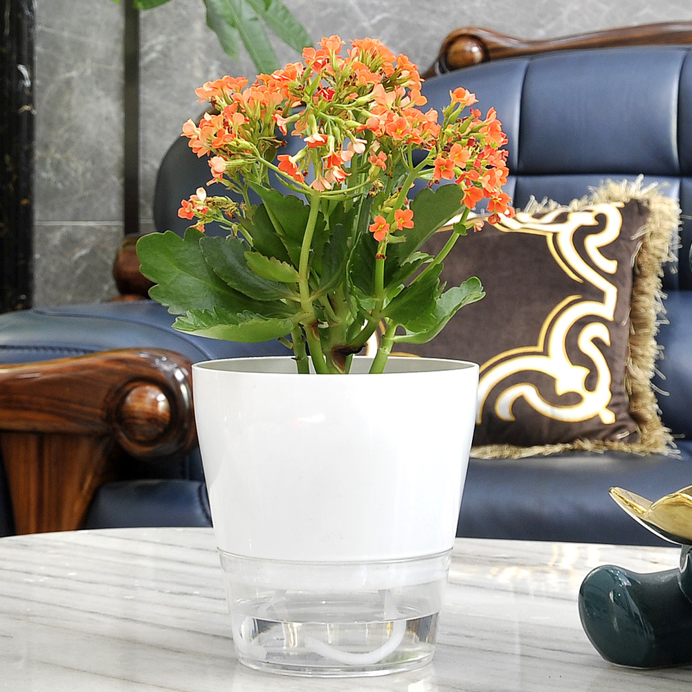 Pot de Fleur Paresseux avec Tr - Aloe Vera Pot avis et prix