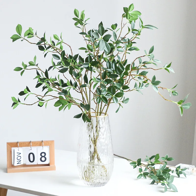 Branche de Ficus Tenuifolia Ar - Ficus Lyrata Tree avis et prix