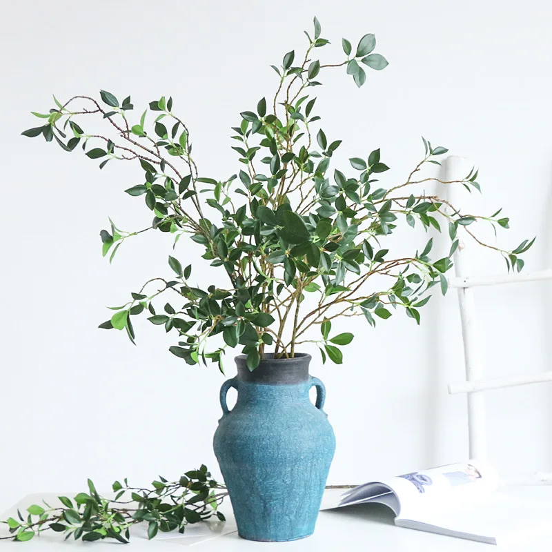 Branche de Ficus Tenuifolia Ar - Ficus Lyrata Tree avis et prix
