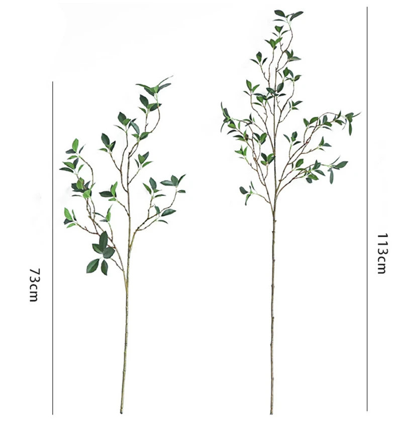 Branche de Ficus Tenuifolia Ar - Ficus Lyrata Tree avis et prix