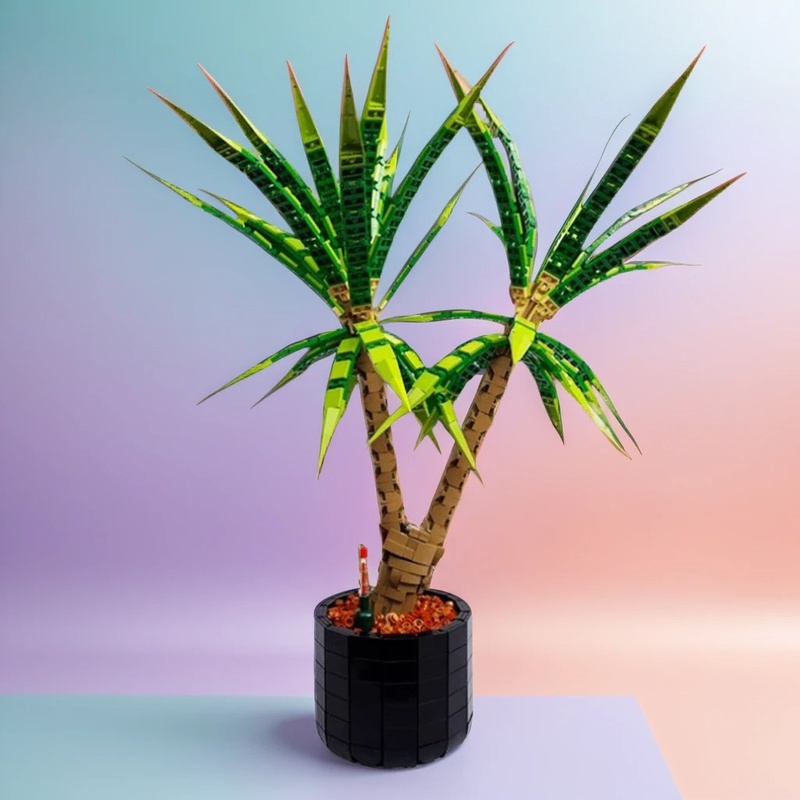 1961 pièces MOC Dracaena Margi - Dracaena Marginata avis et prix