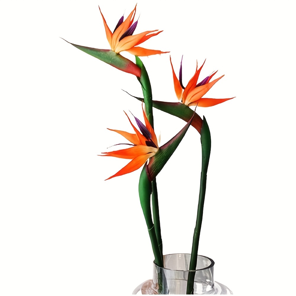 3 fleurs artificielles d'oisea - Bird Paradise Strelitzia avis et prix