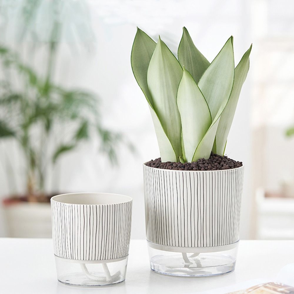 Pot de plantes transparent aut - Aloe Vera Pot avis et prix